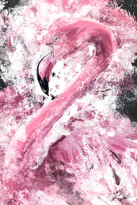 flamingo_fine-art-prints_ab-fineart.com
