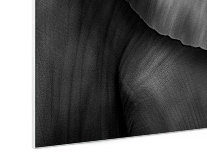 gray-fine-art-limited-edition-prints