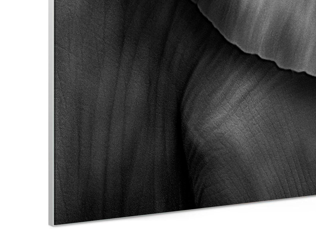 gray-fine-art-limited-edition-prints