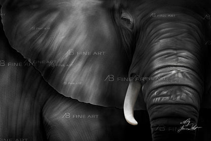 big_silence_fine-art-prints_ab-fineart.com